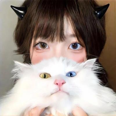 安家